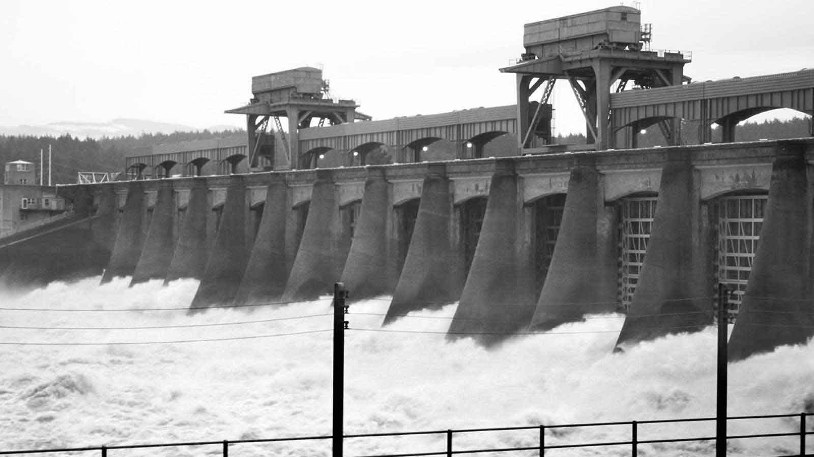 Water Engineering